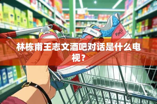 林栋甫王志文酒吧对话是什么电视？