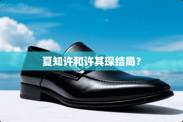 夏知许和许其琛结局？