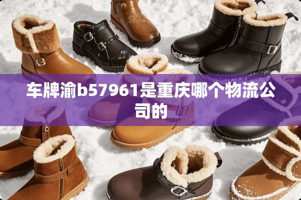 车牌渝b57961是重庆哪个物流公司的