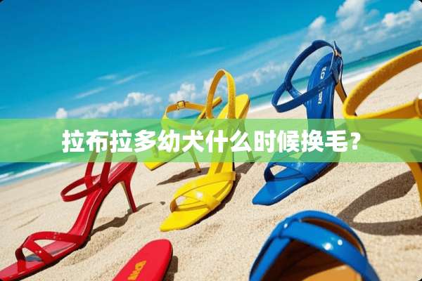拉布拉多幼犬什么时候换毛？