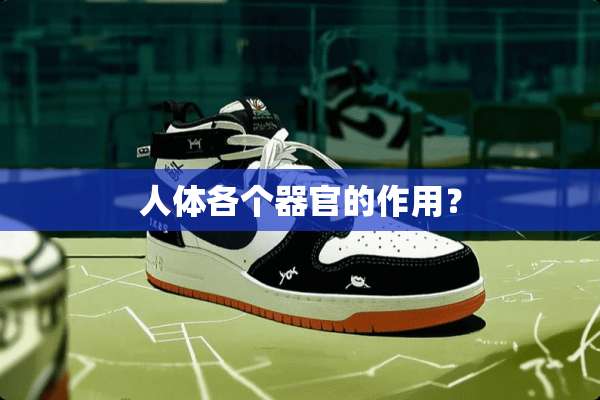 人体各个**的作用？