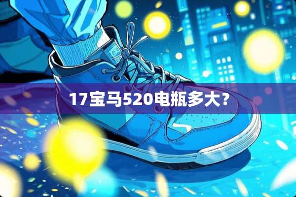17宝马520电瓶多大？