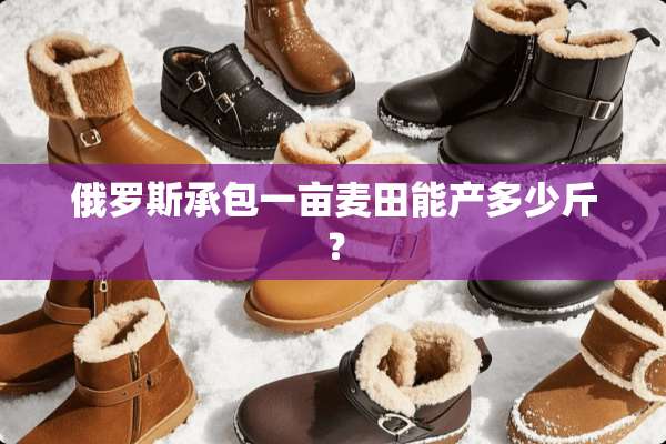 俄罗斯承包一亩麦田能产多少斤？
