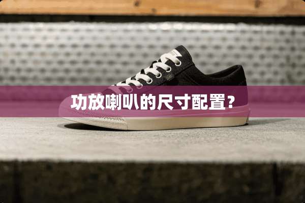 功放喇叭的尺寸配置？