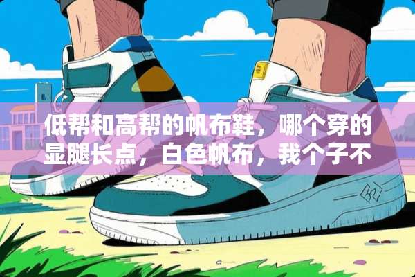 低帮和高帮的帆布鞋，哪个穿的显腿长点，白色帆布，我个子不是很高？