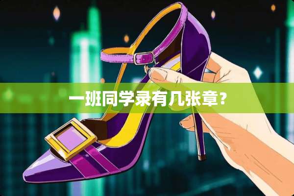 一班同学录有几张章？