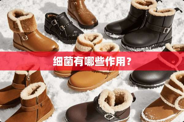 细菌有哪些作用？
