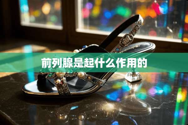 前列腺是起什么作用的