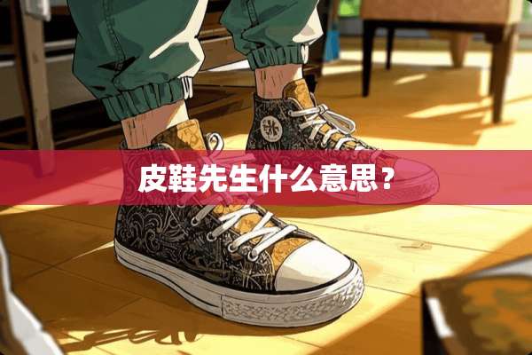 皮鞋先生什么意思？