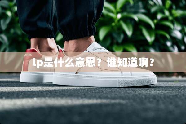 lp是什么意思？谁知道啊？