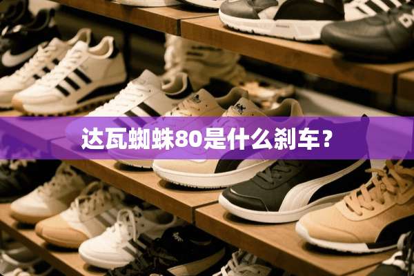 达瓦蜘蛛80是什么刹车？