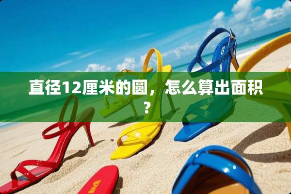 直径12厘米的圆，怎么算出面积？