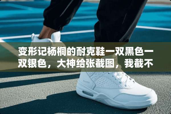 变形记杨桐的耐克鞋一双黑色一双银色，大神给张截图，我截不到，正品多少钱？