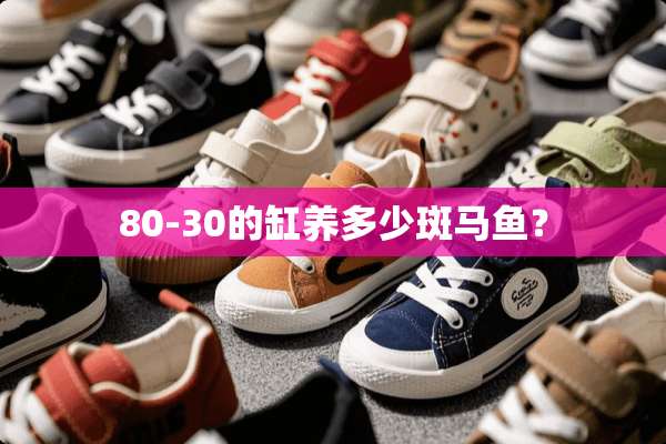 80-30的缸养多少斑马鱼？