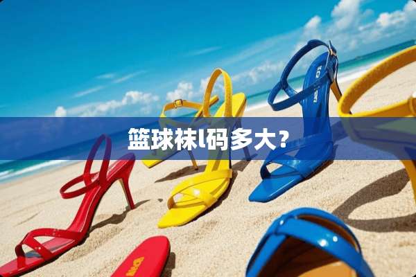 篮球袜l码多大？