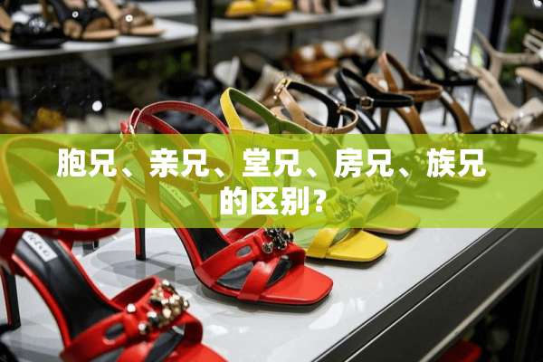 胞兄、亲兄、堂兄、房兄、族兄的区别？