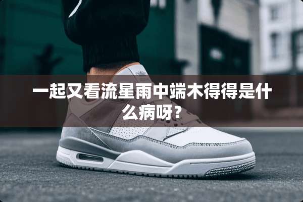 一起又看流星雨中端木得得是什么病呀？