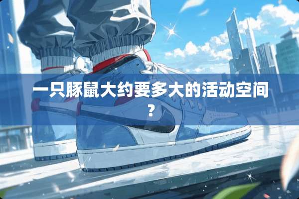 一只豚鼠大约要多大的活动空间？