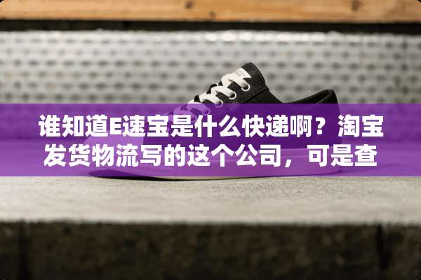 谁知道E速宝是什么快递啊？淘宝发货物流写的这个公司，可是查不到啊……