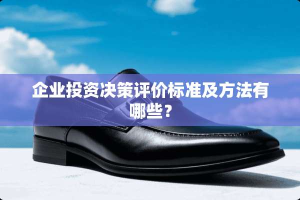 企业投资决策评价标准及方法有哪些？
