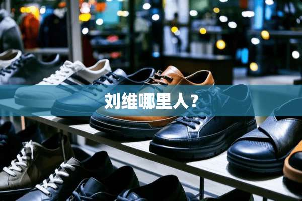 刘维哪里人？