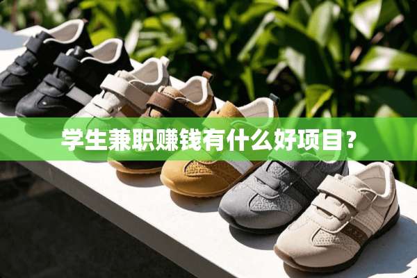 学生兼职赚钱有什么好项目？