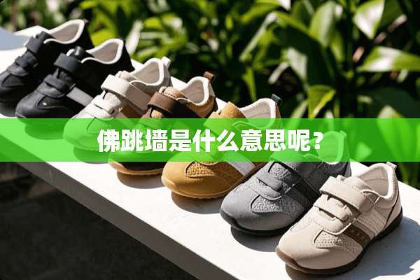 佛跳墙是什么意思呢？