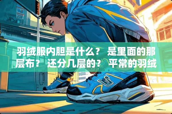 羽绒服内胆是什么？ 是里面的那层布？ 还分几层的？ 平常的羽绒服有没有内胆分几层