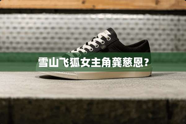 雪山飞狐女主角龚慈恩？