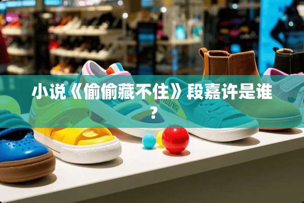 小说《**藏不住》段嘉许是谁？