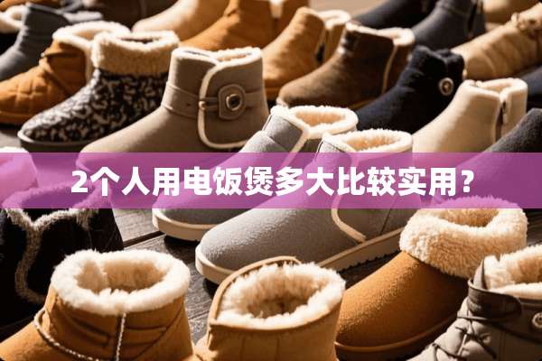 2个人用电饭煲多**较实用？