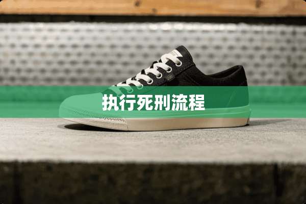 执行死刑流程