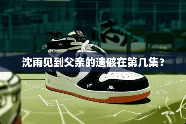 沈雨见到父亲的遗骸在第几集？