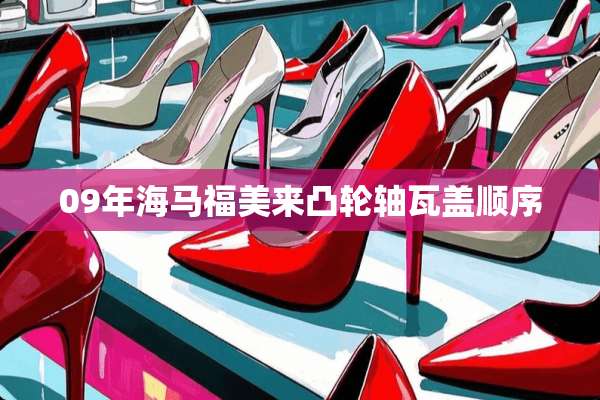 09年海马福美来凸轮轴瓦盖顺序