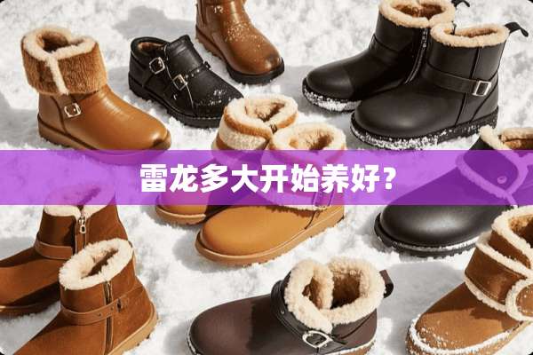 雷龙多大开始养好？