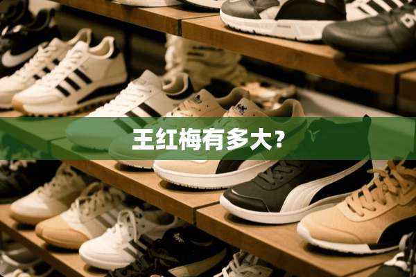 王红梅有多大？
