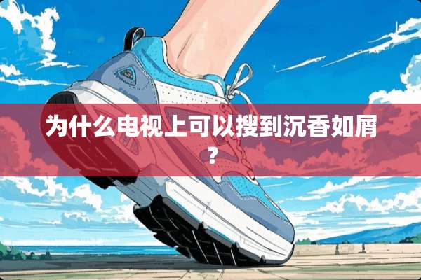 为什么电视上可以搜到沉香如屑？
