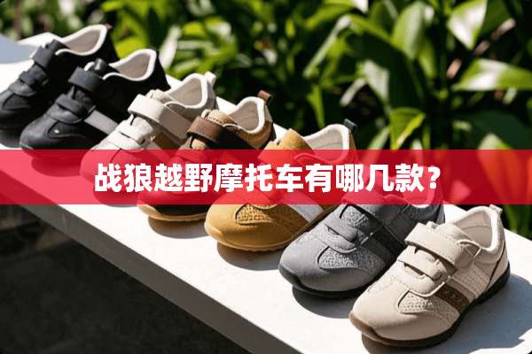 战狼越野摩托车有哪几款？