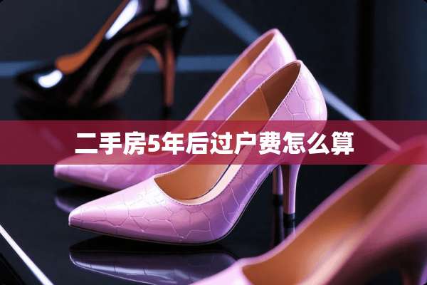 二手房5年后过户费怎么算