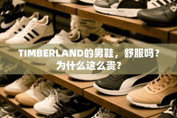 TIMBERLAND的男鞋，舒服吗？为什么这么贵？