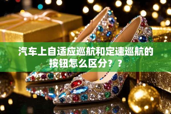 汽车上自适应巡航和定速巡航的按钮怎么区分？？