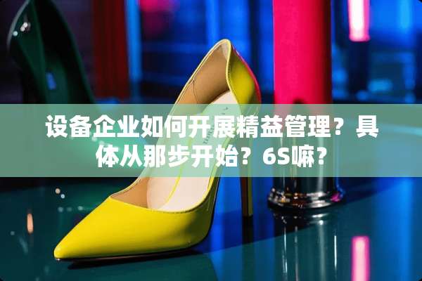 设备企业如何开展精益管理？具体从那步开始？6S嘛？