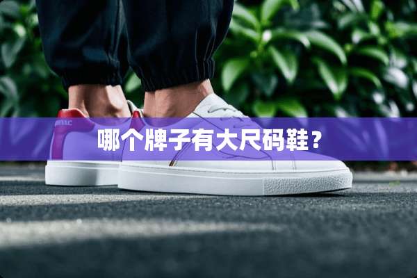 哪个牌子有大尺码鞋？