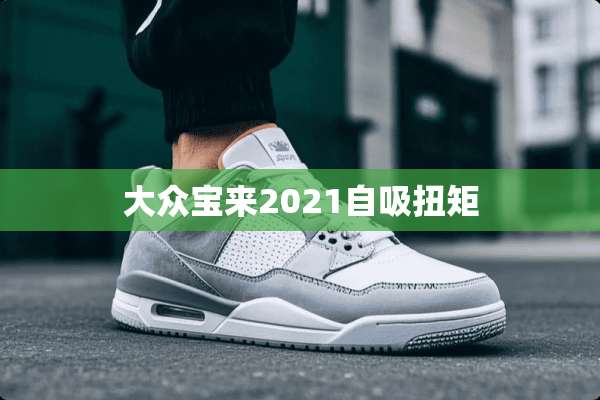 大众宝来2021自吸扭矩