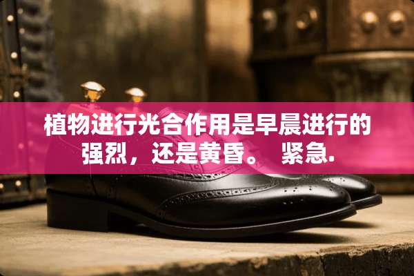 植物进行光合作用是早晨进行的强烈，还是黄昏。  紧急.