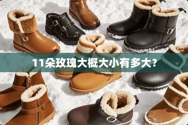 11朵玫瑰大概大小有多大？