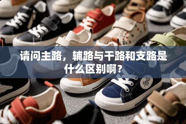 请问主路，辅路与干路和支路是什么区别啊？