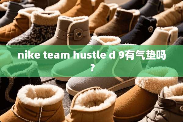 nike team hustle d 9有气垫吗？