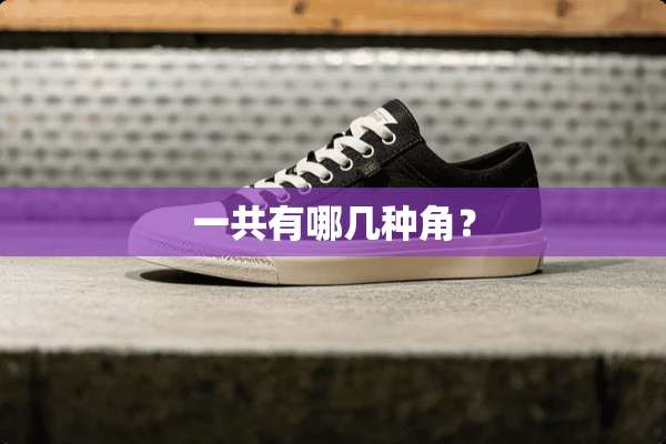 一共有哪几种角？