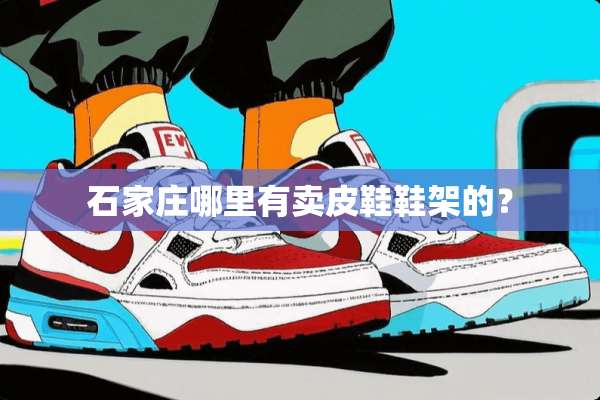 石家庄哪里有卖皮鞋鞋架的？